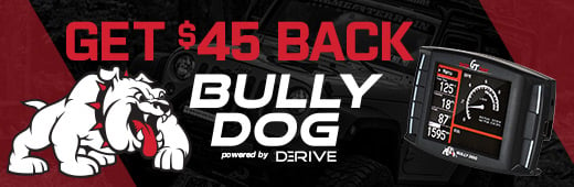 Bully Dog Tax Time Rebate