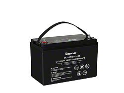 12V 100Ah Lithium Iron Phosphate Battery with Bluetooth