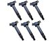 6-Piece Ignition Coil Set (10-14 4.0L 4Runner)