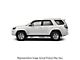 Side Moldings; Classic Silver (10-24 4Runner)