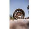 Fifteen52 Traverse HD Bronze Wheel; 17x8.5; 0mm Offset (20-24 Jeep Gladiator JT)