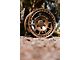 Fifteen52 Traverse HD Bronze Wheel; 17x8.5; 0mm Offset (20-24 Jeep Gladiator JT)