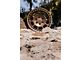 Fifteen52 Traverse HD Bronze Wheel; 17x8.5; 0mm Offset (20-24 Jeep Gladiator JT)