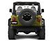 Barricade Rivet Style Fender Kit (97-06 Jeep Wrangler TJ)