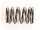 Valve Spring (87-95 Jeep Wrangler YJ)