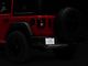 RedRock LED License Plate Bolts