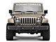 Raxiom Axial Series 4-Inch LED Fog Lights with Halo (07-18 Jeep Wrangler JK)