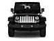 Grille Insert; Iridescent Pink Breast Cancer Ribbon (76-86 Jeep CJ5 & CJ7)