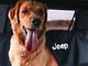 Jeep Licensed by TruShield Waterproof Pet Guard Seat Cover with Jeep Logo (Universal; Some Adaptation May Be Required)