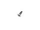 Windshield Hinge Screw (87-95 Jeep Wrangler YJ)