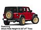 Black Rhino Raid Gold Wheel; 20x9.5; -18mm Offset (18-24 Jeep Wrangler JL)