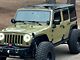 Jeep Licensed by TruShield Clear View Sky Top (09-18 Jeep Wrangler JK)