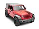 SEC10 Half Hood Flag Decal; Matte Black (18-24 Jeep Wrangler JL)