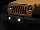 Raxiom Axial Series Vision LED Fog Lights (07-18 Jeep Wrangler JK)