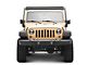 Body Armor 4x4 Cargo Roof Rack (07-18 Jeep Wrangler JK 4-Door)