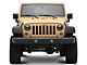 Raxiom High Output LED Headlights with Angel Eye DRL; Black Housing; Clear Lens (07-18 Jeep Wrangler JK)