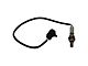 O2 Oxygen Sensor; Upstream (97-00 Jeep Wrangler TJ)