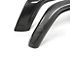 Anderson Composites Type-OE Rear Fender Flares; Carbon Fiber (20-24 Jeep Gladiator JT)