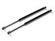 RedRock Tailgate Lift Strut Kit (99-04 Jeep Grand Cherokee WJ)