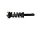 Loaded Strut Assembly; Front Passenger Side (05-10 2WD 3.7L Jeep Grand Cherokee WK Laredo; 2010 2WD 3.7L Jeep Grand Cherokee WK Limited)