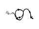 ABS Wheel Speed Sensor; Front (05-23 Frontier)