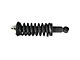 Loaded Strut Assembly; Front (05-19 4WD 4.0L Frontier LE, SV)