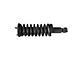 Loaded Strut Assembly; Front (05-19 4WD 4.0L Frontier LE, SV)