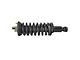 Loaded Strut Assembly; Front (05-10 2WD 4.0L Frontier SE)