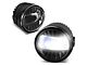 LED Projector Fog Lights; Clear (05-09 Frontier)