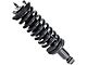 Front Strut and Spring Assemblies (05-21 4WD Frontier, Excluding PRO-4X)