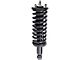 Front Strut and Spring Assemblies (05-21 4WD Frontier, Excluding PRO-4X)