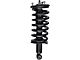 Front Strut and Spring Assembly (04-19 4WD Titan w/o Off-Road Package)