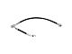 Front Brake Hose; Passenger Side (08-19 Titan)