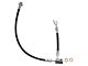 Front Brake Hose; Passenger Side (08-19 Titan)