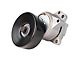 Serpentine Belt Tensioner (04-15 Titan)