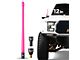 EcoAuto Flexible Replacement Antenna; 12-Inch; Pink (20-23 Jeep Gladiator JT)