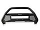 Go Rhino RC4 LR Bull Bar with 20-Inch LED Light Bar Mount; Textured Black (16-24 4Runner)