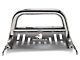 Bull Bar with Skid Plate; Stainless Steel (10-24 4Runner, Excluding Limited & Nightshade)