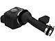 AFE Momentum GT Cold Air Intake with Pro DRY S Filter; Black (03-24 4.0L 4Runner)