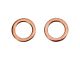 Rear Brake Hose Set (03-20 4Runner)