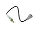 O2 Oxygen Sensor; Downstream Driver Side (07-16 Tundra)