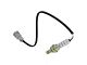 O2 Oxygen Sensor; Downstream Driver Side (07-16 Tundra)