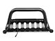 Bull Bar with 20-Inch LED Light Bar; Semi-Gloss Black (16-23 Tacoma)