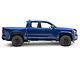 RedRock 4-Inch Oval Straight Side Step Bars; Stainless Steel (2024 Tacoma Double Cab)