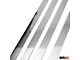 OMAC Side Door Moldings; Silver (05-15 Tacoma Access Cab)