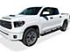 5-Inch iStep Running Boards; Black (07-21 Tundra CrewMax)