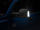 Raxiom LED Side Mirror Lights with DRL and Turn Signals; Clear (07-21 Tundra)