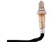 O2 Oxygen Sensor; Downstream Passenger Side (18-21 5.7L Tundra)