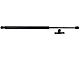 Liftgate Lift Supports (97-01 Jeep Cherokee XJ)