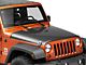 Anderson Composites Type-OE Hood; Carbon Fiber (07-18 Jeep Wrangler JK)